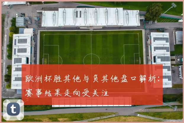 欧洲杯胜其他与负其他盘口解析：赛事结果走向受关注